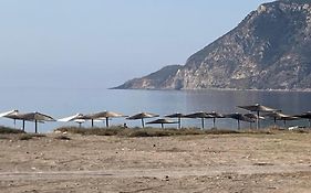Zafira Studios